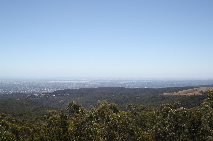 Mt Lofty view 4
